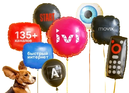 Услуги Дом.ру в деревня Сиухино